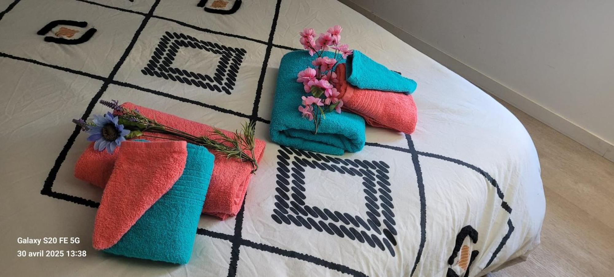 Les Volets Bleus - Deux Appartements Et Un Studio, Jardin Bourges Kültér fotó