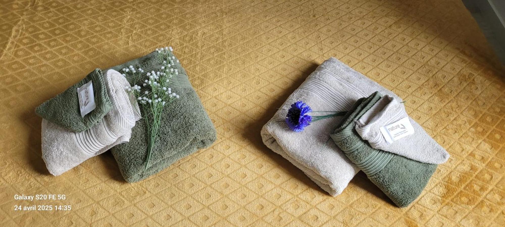 Les Volets Bleus - Deux Appartements Et Un Studio, Jardin Bourges Kültér fotó